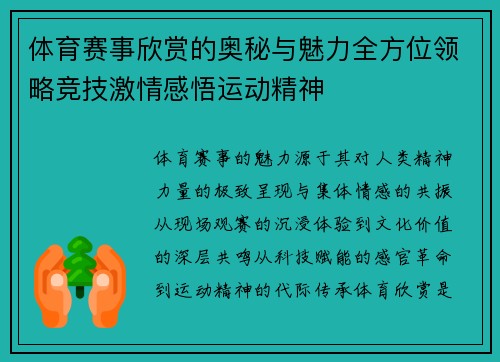 体育赛事欣赏的奥秘与魅力全方位领略竞技激情感悟运动精神